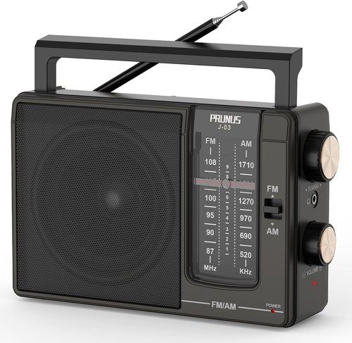 Prunus radio am - prunus, fm